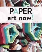 bokomslag Paper Art Now!