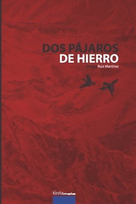 bokomslag Ruiz Martínez, G: SPA-DOS PAJAROS DE HIERRO