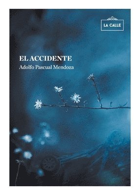 Adolfo Pascual Mendoza - El accidente, Häftad. Tillgänglighet: Lägg i varukorg