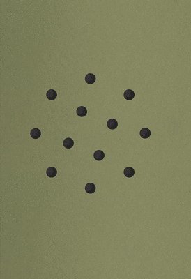 Cemre Yesil and Maria Sturm: For Birds' Sake, Häftad