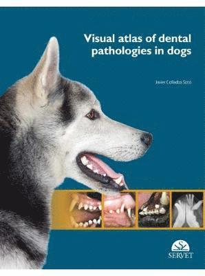 Javier Collados Soto, Javier Collados Soto - Visual Atlas of Dental Pathologies in Dogs, Inbunden