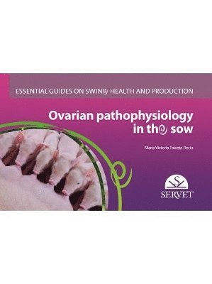 María Victoria Falceto - Ovarian Pathophysiology in the Sow - Essential Guides on Swine Health and Production, Häftad