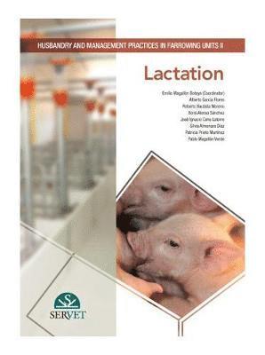 Emilio Magallón Botaya, Alberto Garcia, Roberto Bautista, Boris Alonso Sanchez, Jose Ignacio Cano Latorre, Patricia Prieto Martinez, Pablo Magallon Verde - Husbandry and management practices in farrowing. Units II. Lactation, Inbunden