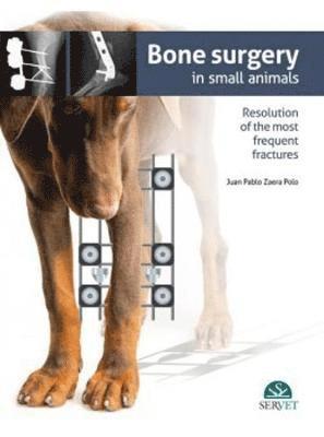 Juan Pablo Zaera - Bone surgery in small animals, Inbunden