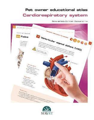 bokomslag Pet Owner Educational Atlas. Cardiorespiratory System