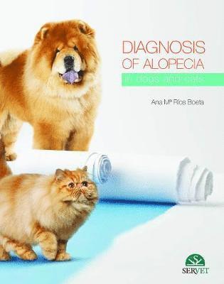Ana María Ríos - Diagnosis of Alopecia in Dogs and Cats, Inbunden