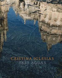 bokomslag Cristina Iglesias: Tres Aguas