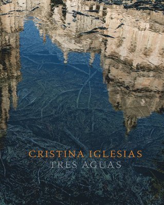Cristina Iglesias: Tres Aguas 1