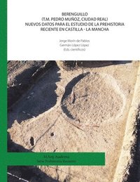 bokomslag Berenguillo (T.M. Pedro Muñoz, Ciudad Real) Nuevos datos para el estudio de la Prehistoria Reciente en Castilla - La Mancha