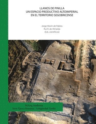 bokomslag Llanos de Pinilla. Un espacio productivo Altoimperial en el territorio segobricense