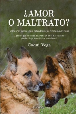 bokomslag Amor o maltrato?