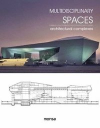 bokomslag Multidisciplinary Spaces