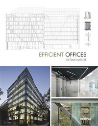 bokomslag Efficient Offices