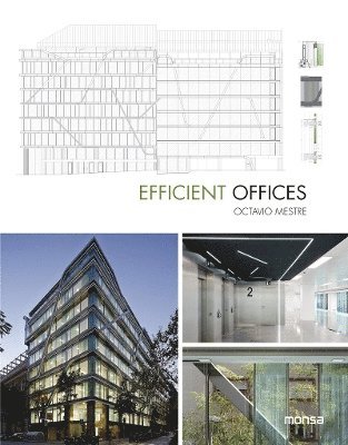 bokomslag Efficient Offices