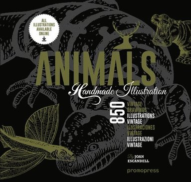 bokomslag Animals: 1000 Handmade Illustrations
