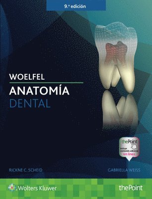 bokomslag Woelfel: Anatoma dental