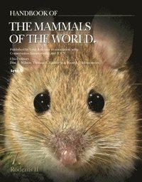 bokomslag Handbook of the Mammals of the World. Rodents II