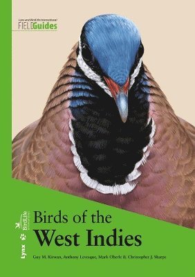 bokomslag Birds of the West Indies