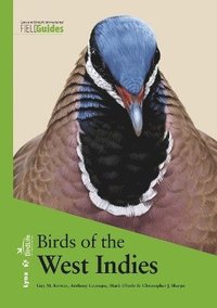 bokomslag Birds of the West Indies