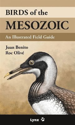 Juan Benito - Birds of the Mesozoic, Häftad