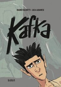 bokomslag Kafka. Diario de Un Desaparecido