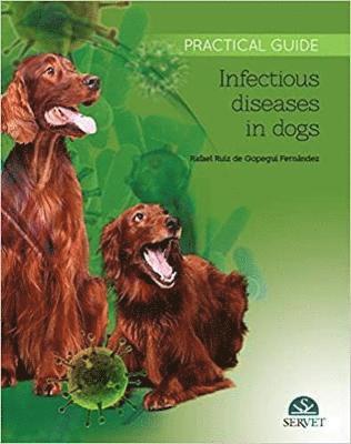 Rafael Ruiz de Gopegui - Infectious diseases in Dogs. Practical Guide, Inbunden