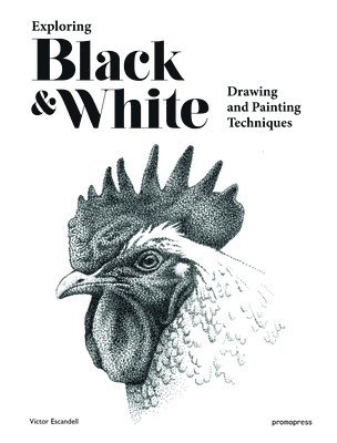 Victor Escandell - Exploring Black and White: Drawing and Painting Techniques, Inbunden