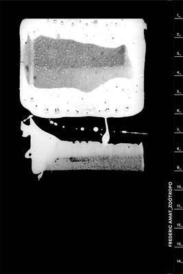 Frederic Amat_Zootrop 1