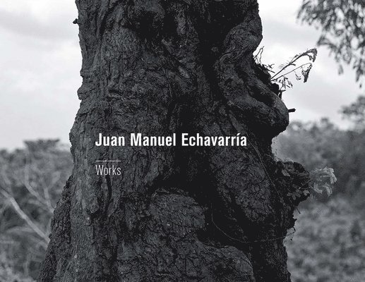 Juan Manuel Echavarria 1