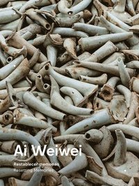 bokomslag Ai Weiwei