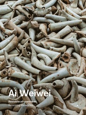 Ai Weiwei 1