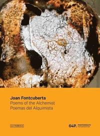bokomslag Joan Fontcuberta