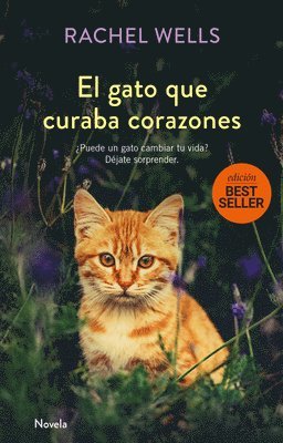 Rachel Wells - Gato Que Curaba Corazones, El, Häftad. Tillgänglighet: Tillfälligt slut