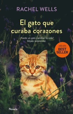 Gato Que Curaba Corazones, El 1