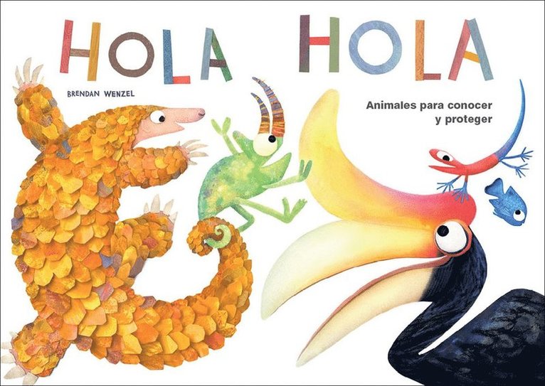 Hola hola