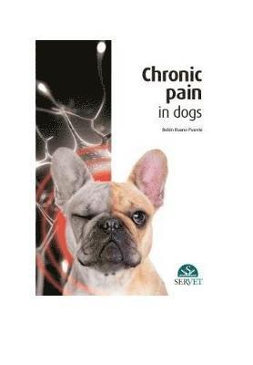 bokomslag Chronic Pain in Dogs