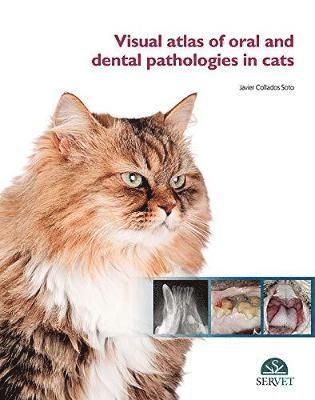 Javier Collados Soto - Visual Atlas of Oral and Dental Pathologies in Cats, Inbunden