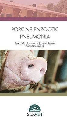 Porcine enzootic pneumonia