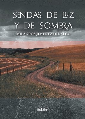 bokomslag Sendas de luz y de sombra