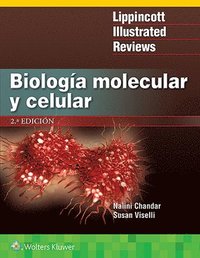 bokomslag LIR. Biologia molecular y celular