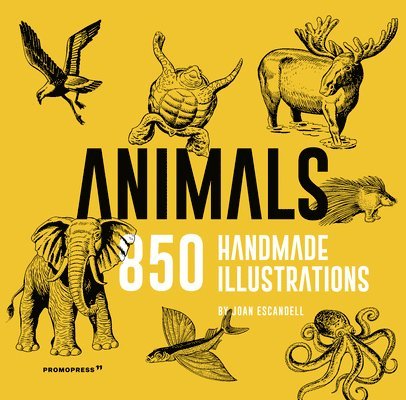 Animals: 850 Handmade Illustrations 1