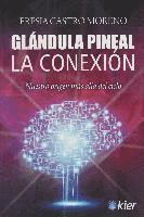 bokomslag Glándula pineal : la conexión : nuestro origen más allá del cielo