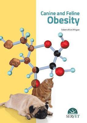 bokomslag Canine and feline obesity