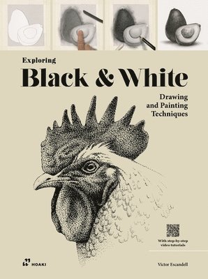 Exploring Black and White: Drawing and Painting Techniques 1