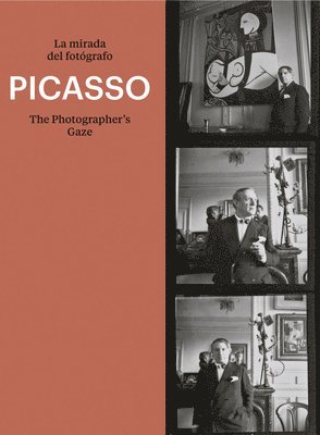 Picasso: The Photographer's Gaze 1