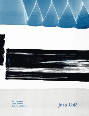 Juan Uslé: Eye and Landscape
