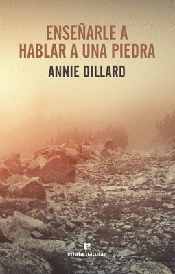 Ensenarle a Hablar a Una Piedra 1