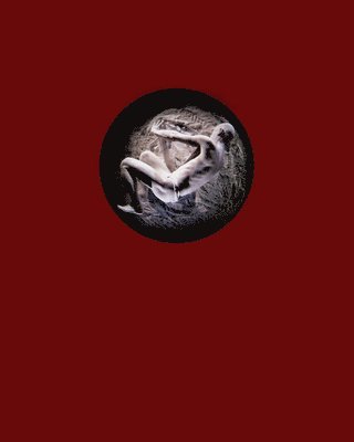 bokomslag VOID