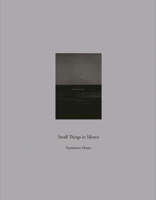 bokomslag Masao Yamamoto: Small Things in Silence