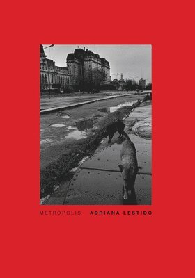 bokomslag Adriana Lestido: Metropolis